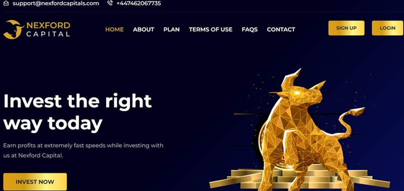 Nexford Capital vozvrat deneg